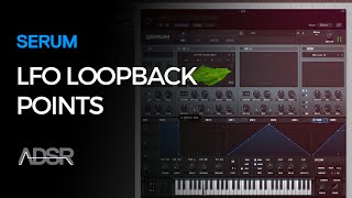 LFO Loopback Points in Serum [upl. by Jc696]