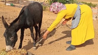 مرحبا بالجميع ❤️🤗🥰👍 [upl. by Halimak]