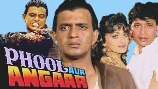 Phool Aur Angaar 1993 Full Movie Review and Facts Mithun Chakraborty and Prem Chopra [upl. by Aralc596]