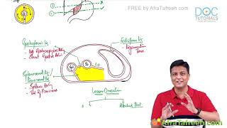 Anatomy of abdomen peritoneum FMG USMLE step 1 NRE exam clinical correlates [upl. by Hanson]