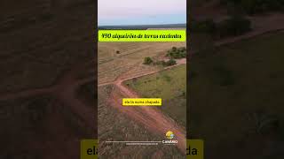 Barata fazendaavenda tocantins agricultura pecuaria agro farming shorts oportunidade top [upl. by Turnbull839]