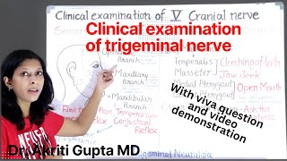 Examination of fifth  trigeminal  cranial nerve II Clinical examination [upl. by Kelwunn]