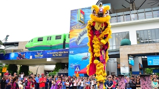 Sentosa Celebrates Lunar New Year  Lion Dance [upl. by Charlot]