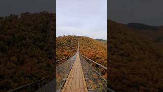 🍁The Geierlay Bridge— Germany 🇩🇪 🍂 [upl. by Sparrow]