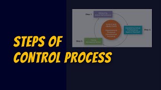 Steps of Control Process in Management  Controlling [upl. by Adiaz740]