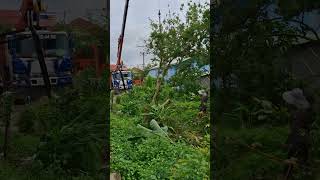 Remote Tree Lifting Activity 💯 automobile crane trending tree plants nature truck shorts [upl. by Wappes]