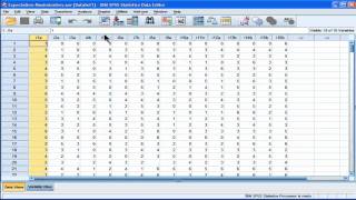 Replace Missing Values  ExpectationMaximization  SPSS part 1 [upl. by Horwath101]