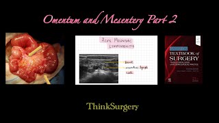 Omentum and mesentery part 2 [upl. by Osithe]