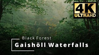 Gaishöll Waterfalls  Wasserfälle  Black Forest  Schwarzwald  Sasbachwalden  4K Ultra HD [upl. by Donelson637]