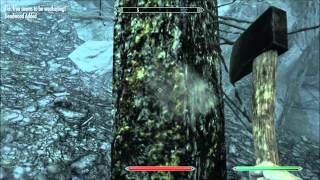 Skyrim  Dynamic Things v135 Landscape Overhaul Firewood [upl. by Gerry]