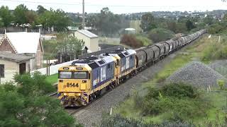 Four trains at North Goulburn early March 2024 [upl. by Adnirod]