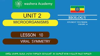 BIOLOGY GRADE 12 UNIT 2 LESSON 10 VIRAL SYMMETRY [upl. by Nevet]