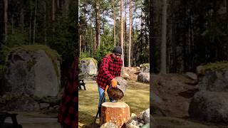 Chopping firewood in Finland  one hit two half logs ™ heavy axe [upl. by Flosser]