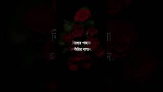 Srotoshini  স্রোতস্বিনী  Encore  Srotoshinni lyrics  bangla song lyrics  shorts  STAR MUSIC [upl. by Eissac]