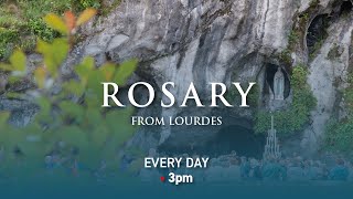 Rosary from Lourdes  24102024 [upl. by Adnarom]