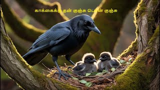 பழமொழி  காக்கைக்கு தன் குஞ்சு பொன் குஞ்சு பழமொழி proverbs  Tamil proverbs  தமிழ் பழமொழி story [upl. by Anitsud252]