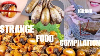 ASMR STRANGE FOOD COMPILATION  SPIDERS IGUANAS AND MORE [upl. by Mitchell]