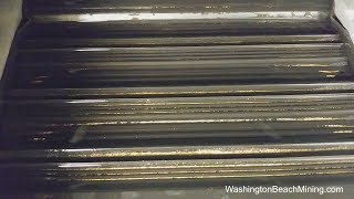 Good Gold Clean Up From Beach Using GoldHog MultiSluice [upl. by Swainson]