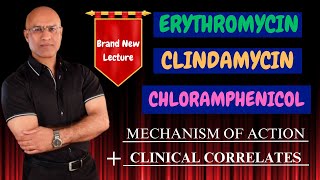 Clindamycin  Erythromycin  Chloramphenicol  MOA amp Clinical Correlations🩺 [upl. by Emorej]