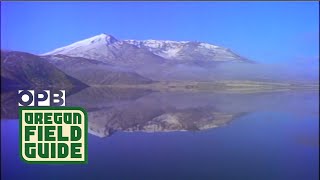 Mount St Helens Remains A Mystery to Ecologists  Oregon Field Guide [upl. by Webber1]