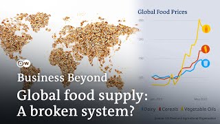 A world going hungry How conflict and climate change disrupt global food supply  Business Beyond [upl. by Laurie]