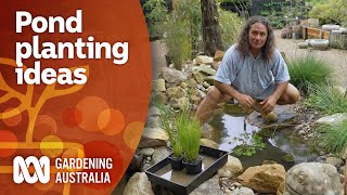 How to add aquatic plants to your pond  Garden Design and Inspiration  Gardening Australia [upl. by Terrill]