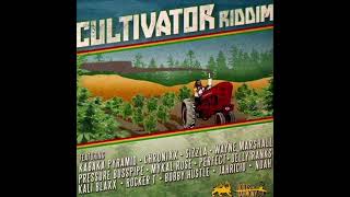 Cultivator Riddim Mix Feat Kabaka PyramidChronixxSizzlaMykal Rose PerfectPressureWayne Marshall [upl. by Auqinat]