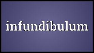 Infundibulum Meaning [upl. by Neehsar]