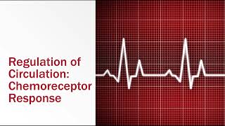 Regulation of Circulation Chemoreceptor Response [upl. by Eriha]