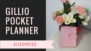 Faux Gillio  Pink Pocket Planner Aliexpress [upl. by Annhoj]