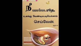 DEVANUKU THALANTHIL KANAKKU MANNIPPU2 [upl. by Leirbaj]