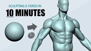 Sculpting a Torso using ZBrush in 10 minutes [upl. by Dnalrag]