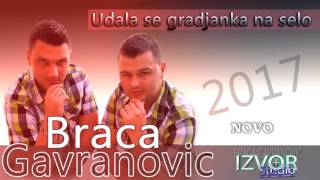 Braca Gavranovic  Udala se gradjanka na selo  2017 [upl. by Acinahs]