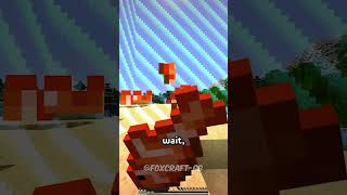 Minecraft but if I TAKE DAMAGE the BORDER EXPANDS ⛏️ shorts [upl. by Ainessej]