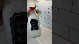 Goat Milk Kefir 🐐💕 goat farmhouselife fermentedfood goatmilk countryhouse farmlife [upl. by Ennylhsa]