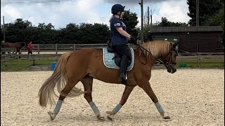 Novice 27 Dressage Test [upl. by Maddi]