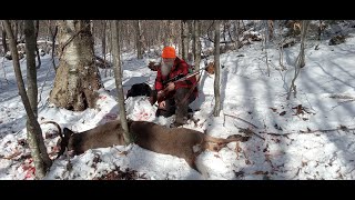 200 Pound Vermont Buck Tracking 2023 [upl. by Joceline735]