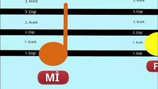 Notaların dizek üzerindeki yerleri [upl. by Zwick]