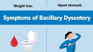 Dysentery Understanding Prevention and Treatment [upl. by Kopaz164]