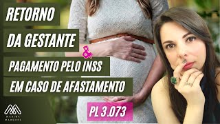 Alteração na lei do afastamento da gestante PL 30732021 [upl. by Laks]