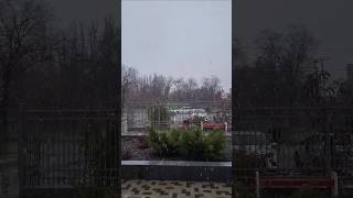 First Snow fall viraltraveltrendingnatureloveshortsvideoshortsyoutubeyoutuberssnowfall [upl. by Benji]