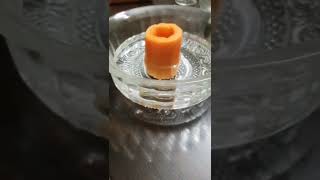 Osmosis  Experiment using carrot osmometer science experiment [upl. by Koenig]