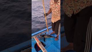 മീനിനെ ബോധം കെടുത്തിയത് കാണണോ shortsfeed malayalamfishing fishing malayalamfishingvideo fish [upl. by Ing]