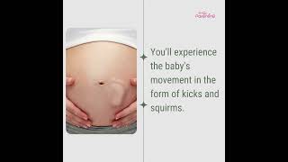 6 Month Pregnant Symptoms amp Baby Development  Six Month Pregnancy Baby Movement [upl. by Johansen]