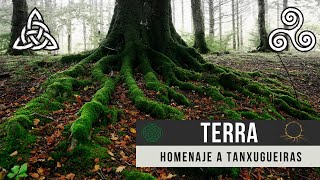 💜 Homenaje a TANXUGUEIRAS quotTerraquot  Música de Galicia y los países celtas Irlanda Escocia [upl. by Aicad]