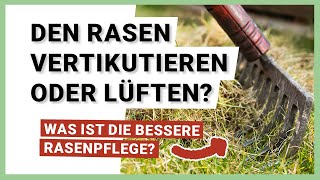 Den Rasen vertikutieren oder lüften – Was ist genau der Unterschied [upl. by Samalla730]