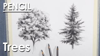 How to Draw Trees  Sketching techniques  Walnut and Pine Tree Pencil Drawing [upl. by Ayanet]