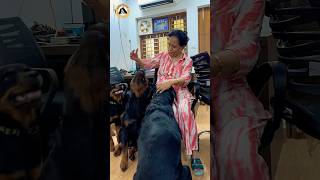 All Rottweilers Together Attack My Mother shorts rottweiller dogs youtubeshorts namitaology [upl. by Lleuqram]