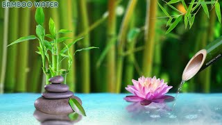 Bamboo Water Fountain  Healing Sounds  Relaxing Piano Music for Stress Relief amp Anxiety [upl. by Rehpotsirhcnhoj]