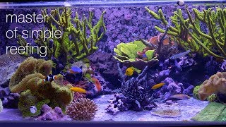 Amazing Aquariums amp Reefs Lives Up To Its Name [upl. by Nordna]